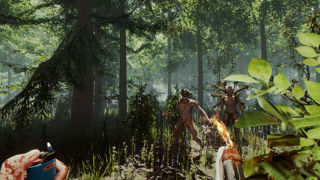 The Forest Screenshot 4