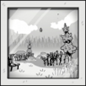 The calm forest Trophy