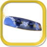 Surfista lunar experimentado Trophy