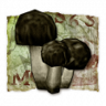 Fungus Among Us Trophy