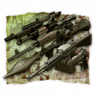 Weapon Collector Trophy