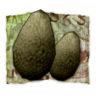 Everything Is in Season Trophy