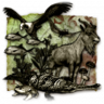 King of the Jungle Trophy