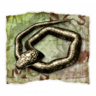 Snake Bit Trophy