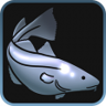 10,000 kg Cod Trophy
