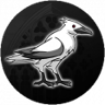 Flight of the Raven Trophy