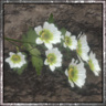 Fourth Tale Trophy
