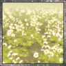 Third Tale Trophy