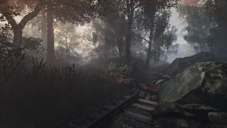 The Vanishing of Ethan Carter Screenshot 8