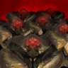 Boil to Alive Trophy