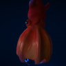 Vampires Trophy