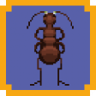 La Cucaracha Trophy