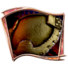 Apocalyptic Sentinel Trophy