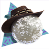 Six Shooter Trophy