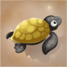 Befriend a Turtle Trophy