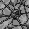 Cortex Wave Scan Trophy