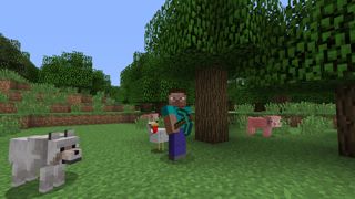 Minecraft Screenshot 6