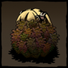 Escapee Trophy