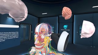 Human Anatomy VR Screenshot 7