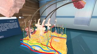 Human Anatomy VR Screenshot 5