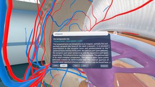 Human Anatomy VR Screenshot 1