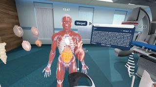 Human Anatomy VR Screenshot 4
