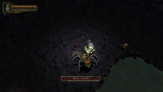 Baldur's Gate: Dark Alliance II Screenshot 10