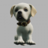 Lost Dog Trophy
