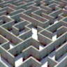 Maze Dash Trophy