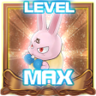 Pet Owner Trophy