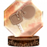 Locked Up Trophy