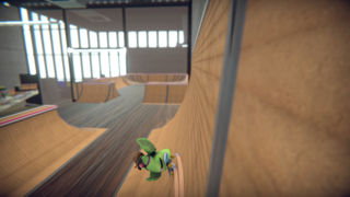 SkateBIRD Screenshot 2
