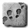 Novice Cave Explorer Trophy