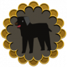 We Also Love The Dog Trophy