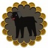 We Also Love The Dog Trophy