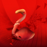 Flamingo Trophy