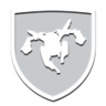 New Ride Trophy