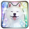 CRYSTAR Trophy