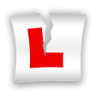 Quick Learner Trophy