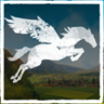 Flying Squirrel Trophy