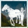 Platinum Trophy