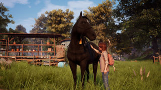 Windstorm: An Unexpected Arrival Screenshot 5