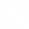 Close Examination Trophy
