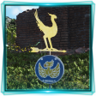 I Brake for Chocobos Trophy