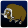 Bop the Ox Trophy