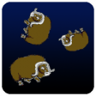 Superbop Trophy