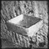 Sink Trophy