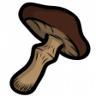 Crazy chef Trophy