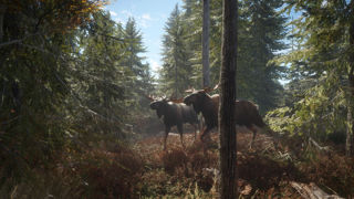 theHunter: Call of the Wild Screenshot 6