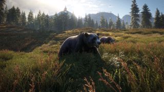 theHunter: Call of the Wild Screenshot 15